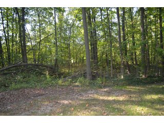 Property photo 49 - REAL ESTATE AUCTION IN ALLEN CO., INDIANA